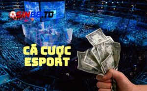 Cá cược Esport - Trải nghiệm cá cược thể thao điện tử hấp dẫn