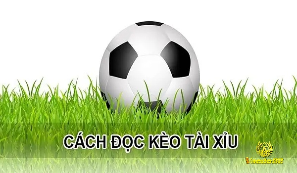 Tổng hợp những loại kèo tài xỉu cơ bản để tân thủ tham gia