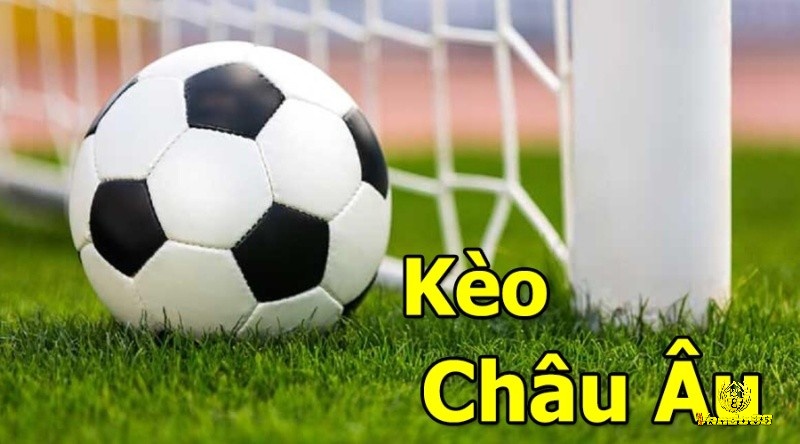 Những thông tin khi cá cược kèo châu âu mà người chơi cần nhớ