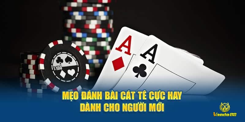 Bỏ túi một vài mẹo đánh bài Catte cực hay dành cho người mới