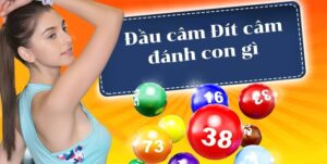 Đầu 6 câm đánh lô con gì? Bảng số đẹp soi cầu chính xác