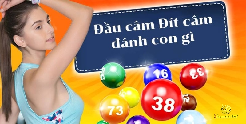 Đầu 6 câm đánh lô con gì soi cầu theo phương pháp truyền thống dữ liệu phân tích theo tuần