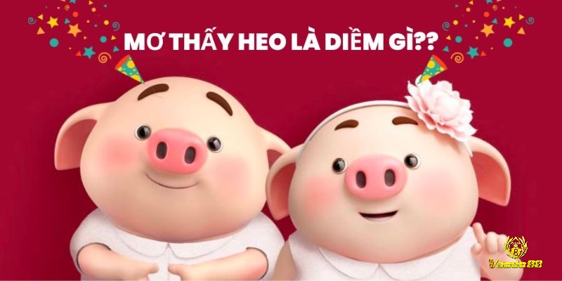 Giải mã giấc mơ thấy heo và tìm ra điềm báo