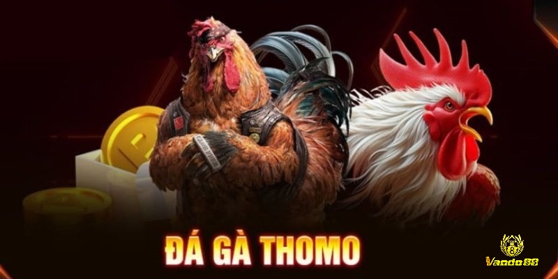 Gà chiến Campuchia được phân thành nhiều dòng khác nhau, đặc điểm riêng biệt về ngoại hình, tính cách và khả năng chiến đấu
