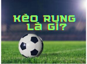 Kèo rung uy tín - Bí quyết chọn nhà cái chất lượng tránh rủi ro
