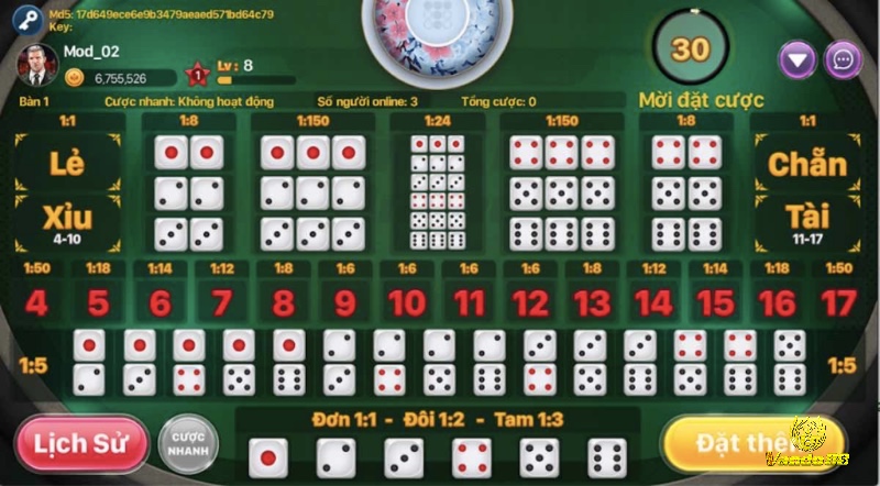 Người chơi có thể cược vào Tài, Xỉu, Chẵn/Lẻ, tổng điểm hoặc bộ ba đồng nhất trong trò chơi tài xỉu.