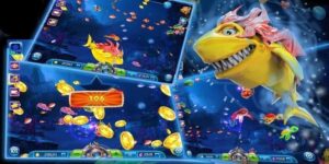 Thuật ngữ game bắn cá: Từ cơ bản đến chiến thuật đỉnh cao
