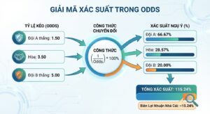 Cách tính xác suất từ odds chuẩn xác nhất cho tân thủ