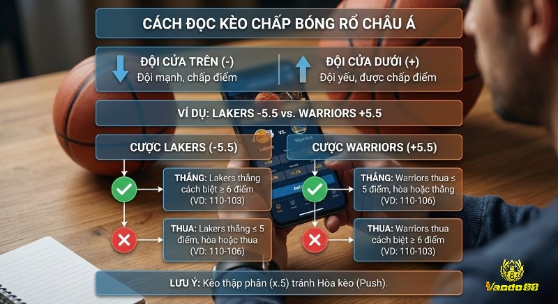 Hướng dẫn chi tiết cách đọc kèo chấp bóng rổ Châu Á, giải thích đội cửa trên/dưới và ví dụ cụ thể Lakers vs Warriors