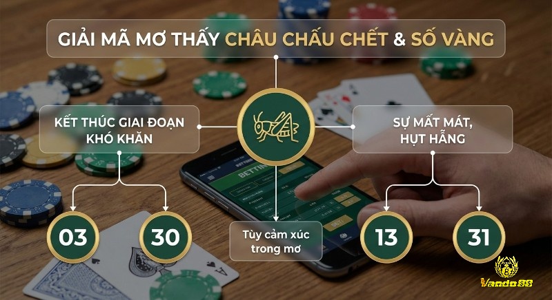 Mơ thấy châu chấu đánh số gì? Sơ đồ giải mã điềm báo mơ thấy châu chấu chết, tương ứng với số 03, 30 khi vượt khó và 13, 31 nếu thất vọng