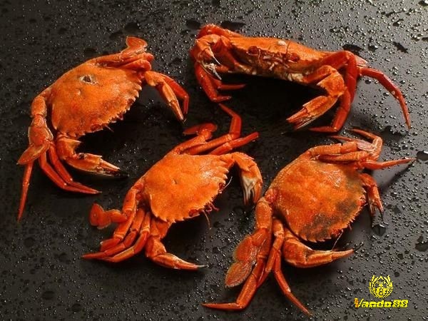 Cua chết trong giấc mơ cho thấy những trở ngại đang dần được giải quyết