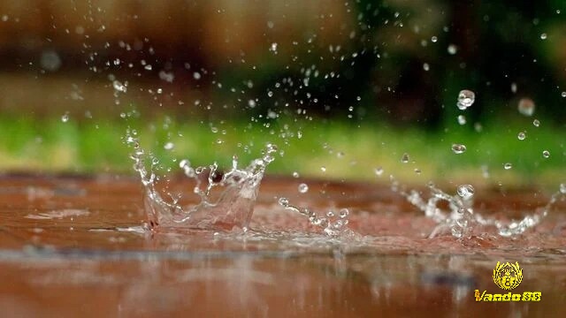 Chiêm bao thấy trời mưa to vừa tạnh là hiện thân của sự hy vọng